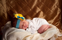 amyhowesphotography-8568
