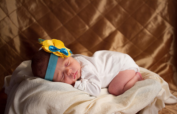 amyhowesphotography-8568