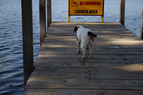amyhowesphotography-9803