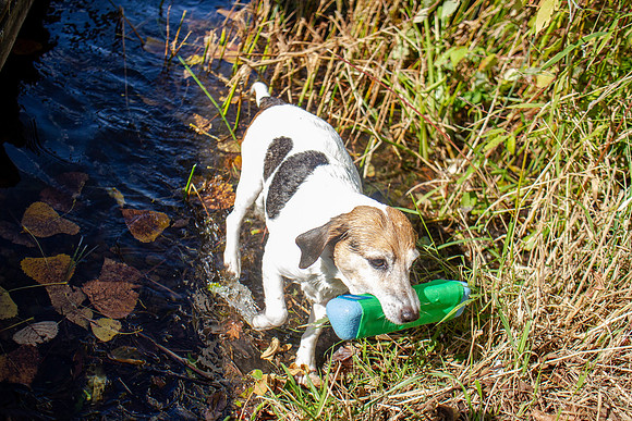 amyhowesphotography-9790