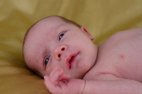amyhowesphotography-8943