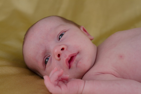 amyhowesphotography-8943