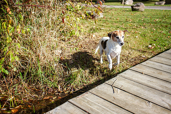 amyhowesphotography-9778