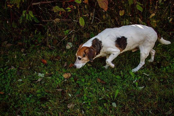 amyhowesphotography-9761