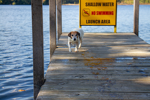 amyhowesphotography-9806