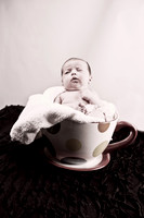 _MG_4102-Edit