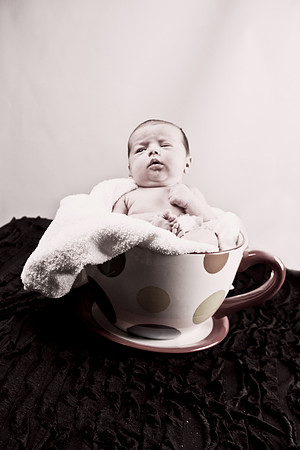 _MG_4102-Edit