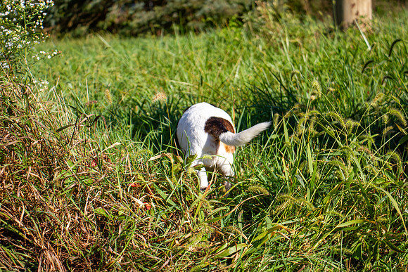 amyhowesphotography-9693