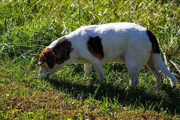 amyhowesphotography-9691