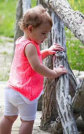 amyhowesphotography-1962