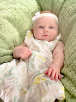 amyhowesphotography-2441