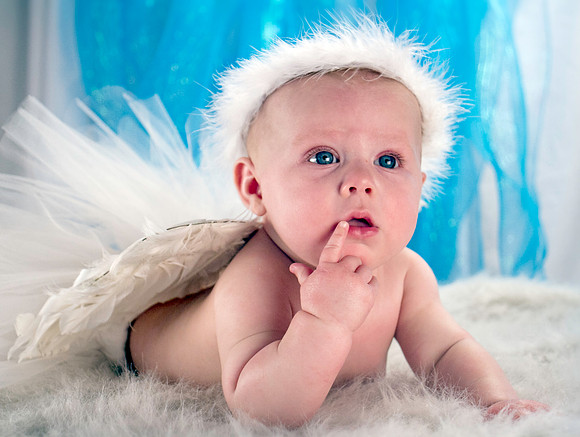 amyhowesphotography-2417