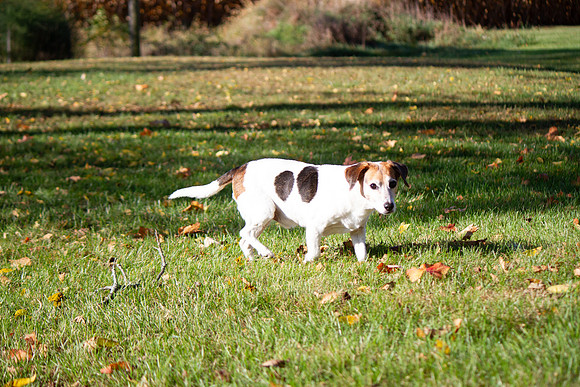 amyhowesphotography-9600