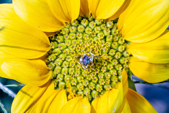 amyhowesphotography-2630