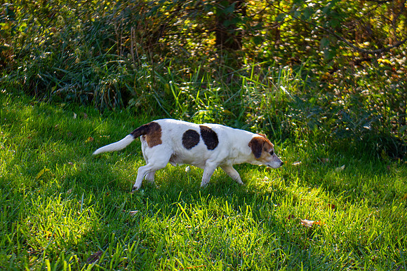 amyhowesphotography-9660