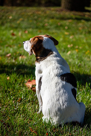 amyhowesphotography-9606