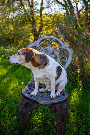 amyhowesphotography-9672