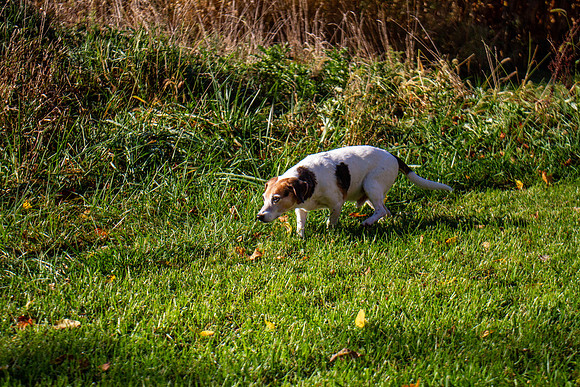 amyhowesphotography-9624