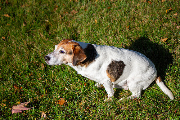 amyhowesphotography-9615