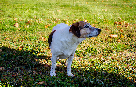 amyhowesphotography-9634