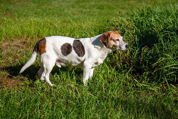 amyhowesphotography-9680