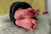amyhowesphotography-6798