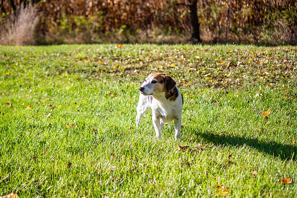 amyhowesphotography-9619
