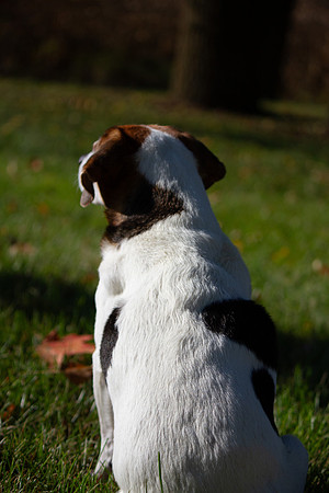 amyhowesphotography-9603