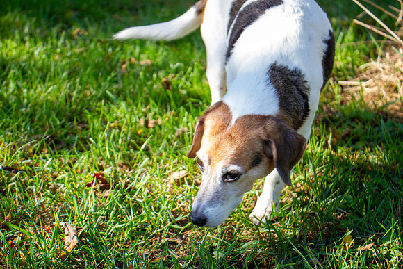 amyhowesphotography-9659