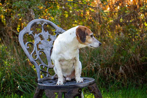 amyhowesphotography-9670