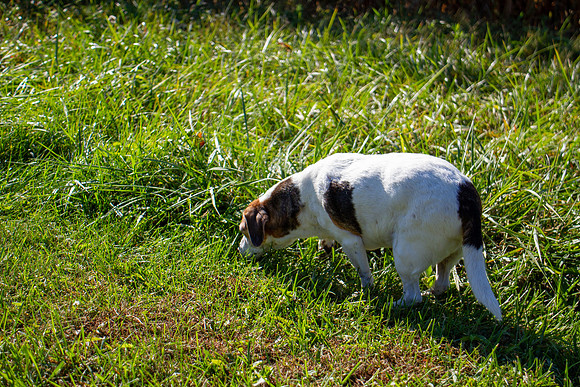amyhowesphotography-9689