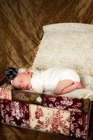 amyhowesphotography-8555