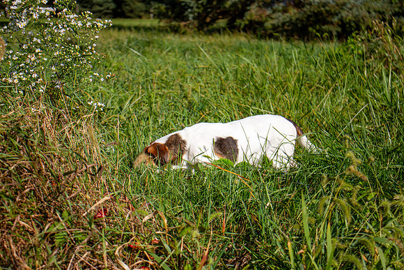 amyhowesphotography-9698
