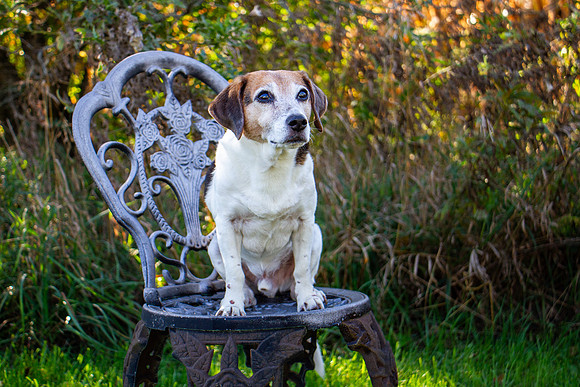 amyhowesphotography-9669-2