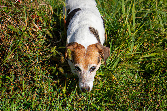 amyhowesphotography-9701