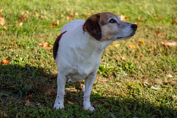 amyhowesphotography-9636