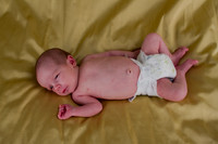 amyhowesphotography-8933