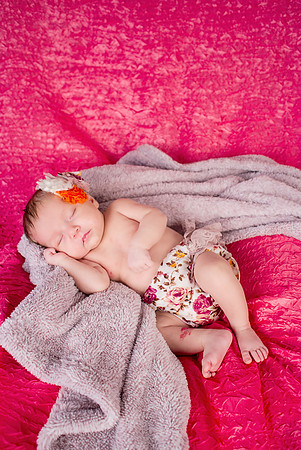 amyhowesphotography-6044