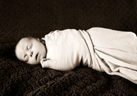 amyhowesphotography-6610