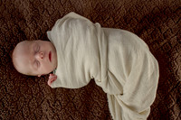 amyhowesphotography-6617