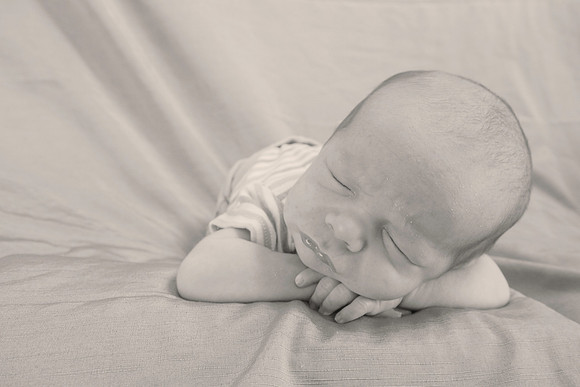 amyhowesphotography-9025