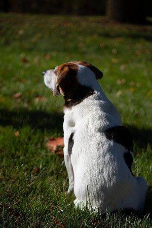 amyhowesphotography-9605
