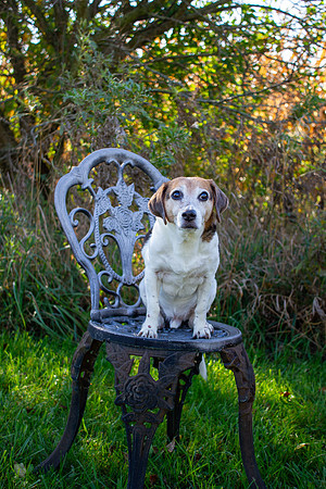 amyhowesphotography-9664
