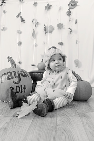 amyhowesphotography=7605