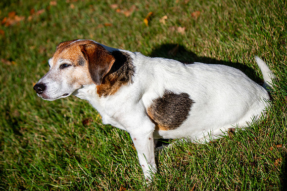 amyhowesphotography-9610