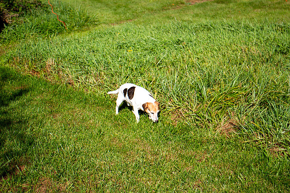 amyhowesphotography-9685