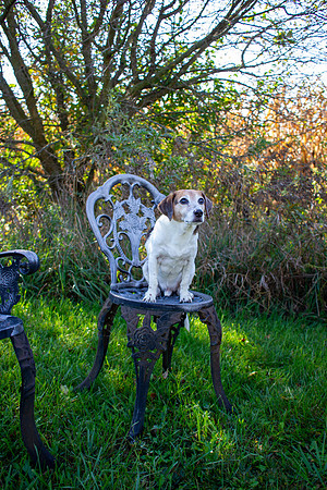 amyhowesphotography-9665-2