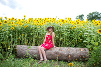 amyhowesphotography-8971
