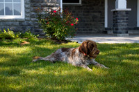amyhowesphotography-9437