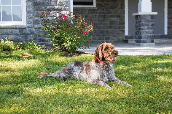amyhowesphotography-9439